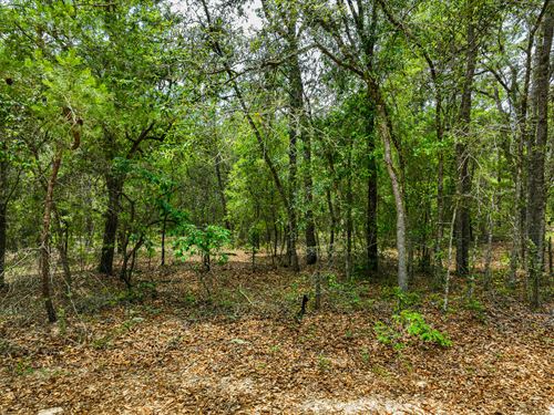 .22 Acres in Putnam County FL : Interlachen : Putnam County : Florida