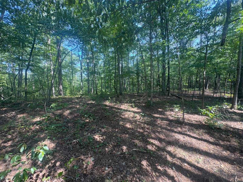 5 Acres in Lamar, Arkansas : Lamar : Johnson County : Arkansas