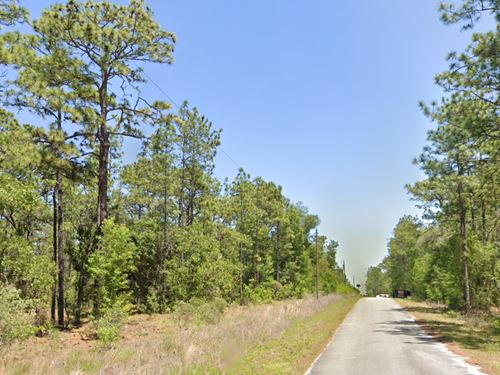 Build in The Sunshine State : Dunnellon : Marion County : Florida