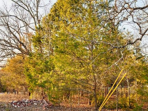 Walk to The Lake : Horseshoe Bend : Izard County : Arkansas