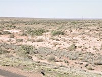 1.07 Acres in AZ, No HOA, $101/Mo : Sun Valley : Navajo County : Arizona