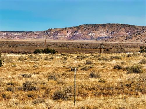 Own Mountain Views : Concho : Apache County : Arizona