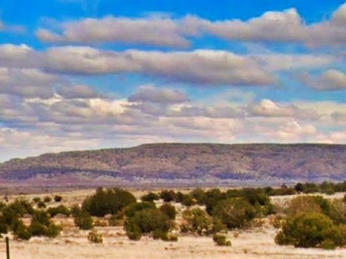 Power, Water and Mountain Views : Concho : Apache County : Arizona