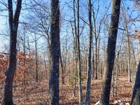 Own Land Near Crown Lake : Horseshoe Bend : Izard County : Arkansas