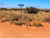 Welcome to Snowflake : Snowflake : Navajo County : Arizona