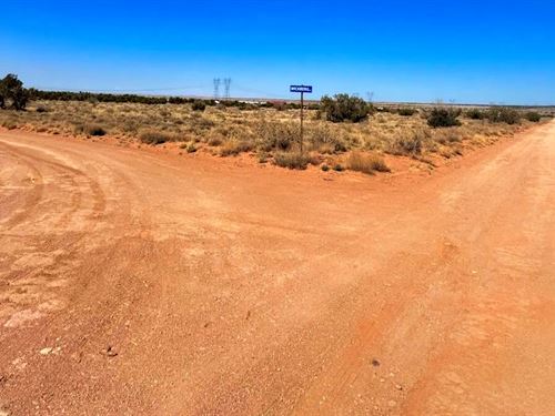 Welcome to Snowflake : Snowflake : Navajo County : Arizona