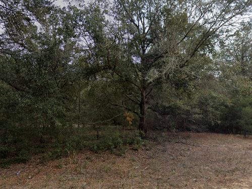 .22 Acre Invest Putnam County FL : Florahome : Putnam County : Florida