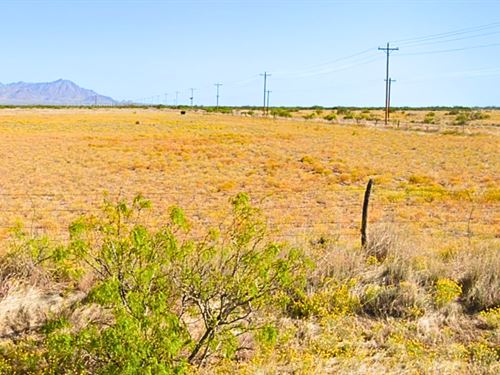 Nearest Power Pole is 0.2 Mile Away : Deming : Luna County : New Mexico