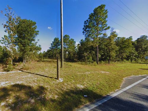 .24 Acres Florida Lot for Sale : Interlachen : Putnam County : Florida