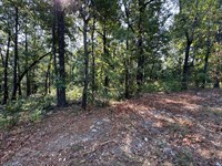 3 Wooded Lots in Horseshoe Bend, AR : Horseshoe Bend : Izard County : Arkansas