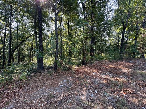 3 Wooded Lots in Horseshoe Bend, AR : Horseshoe Bend : Izard County : Arkansas