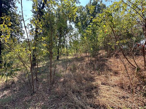3 Wooded Acres, Near Diamond LA : Horseshoe Bend : Izard County : Arkansas