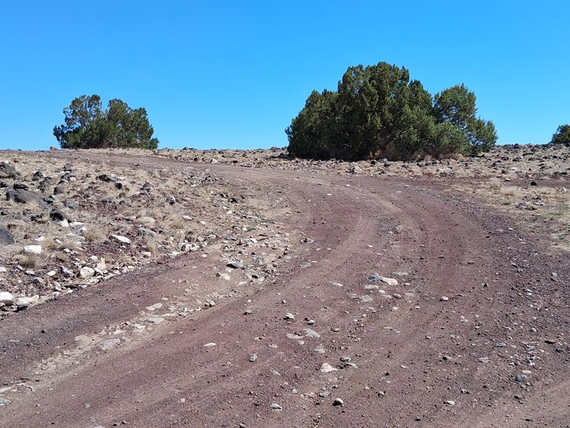 Property in Concho, Flat Terrain : Concho : Apache County : Arizona