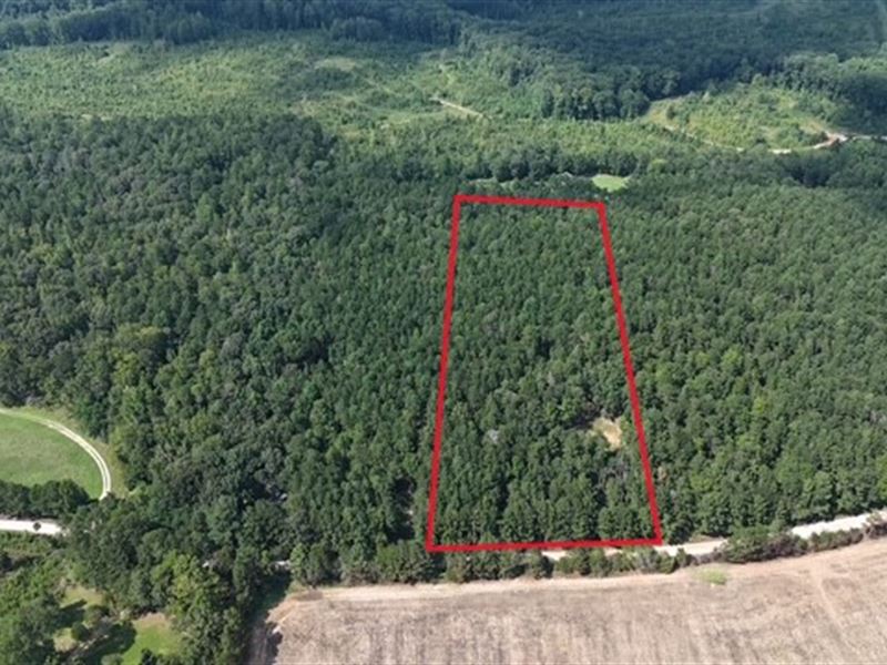 336 Oconee Forest Road : Stephens : Oglethorpe County : Georgia