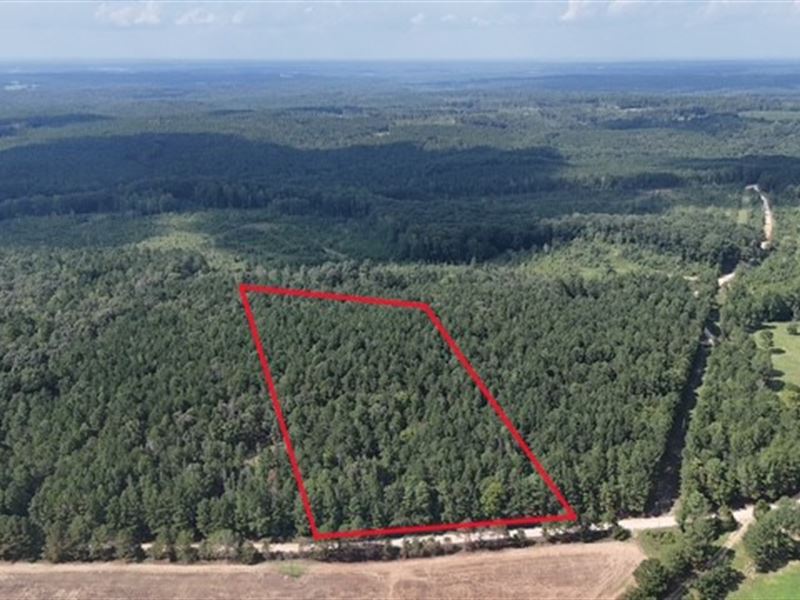 334 Oconee Forest Road : Stephens : Oglethorpe County : Georgia