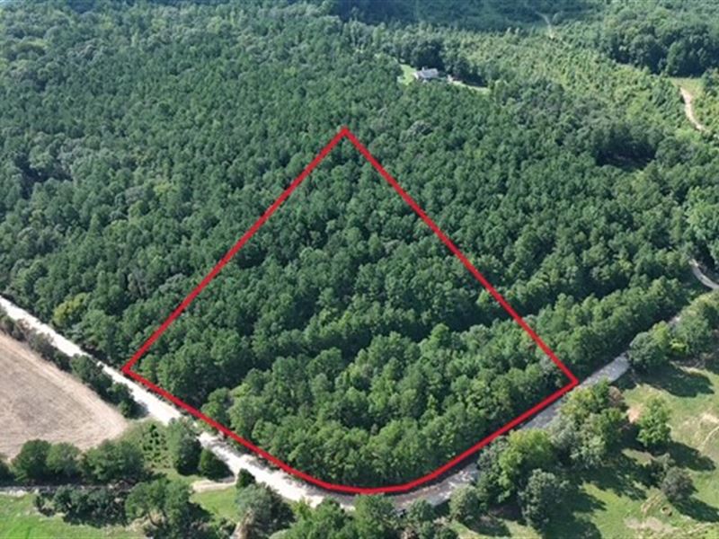 332 Oconee Forest Road Stephens, GA : Stephens : Oglethorpe County : Georgia