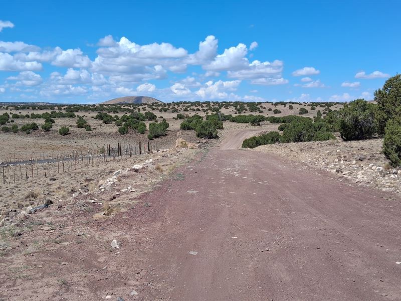 Arizona Land Close to Concho Lake : Concho : Apache County : Arizona