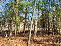 Prime .33 Ac, Near Cedar Glade Lake : Horseshoe Bend : Izard County : Arkansas