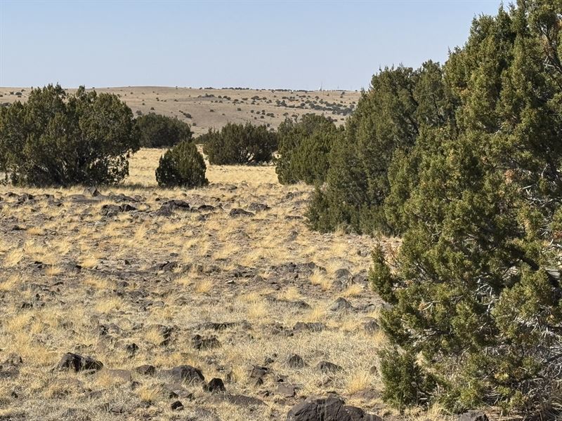 No More Weekend Warrior, Live It : Concho : Apache County : Arizona