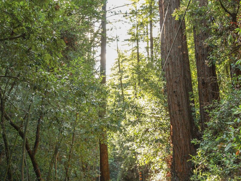 Rare Santa Cruz Land Opportunity : Felton : Santa Cruz County : California