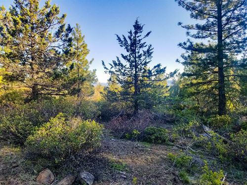 Get Your Nature Fix : Bonanza : Klamath County : Oregon