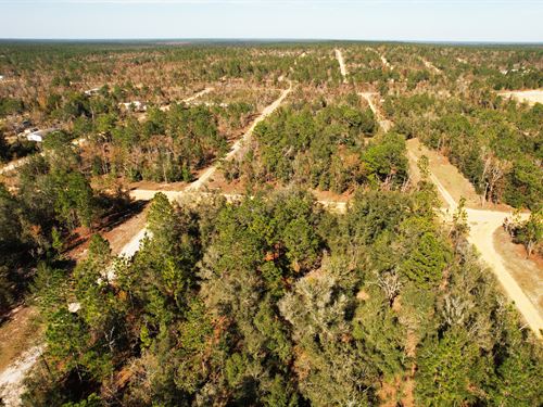 .23 Acres in Interlachen, Florida : Interlachen : Putnam County : Florida