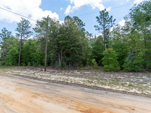 .20 Acres Interlachen R-2 Lot : Interlachen : Putnam County : Florida