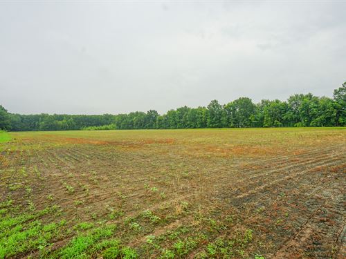 Duncanson Rd Lot 2 : Sardinia : Highland County : Ohio