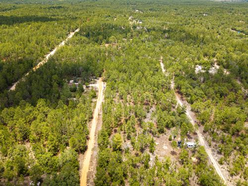 Spacious 0.46 Acre R-2 Homesite : Interlachen : Putnam County : Florida