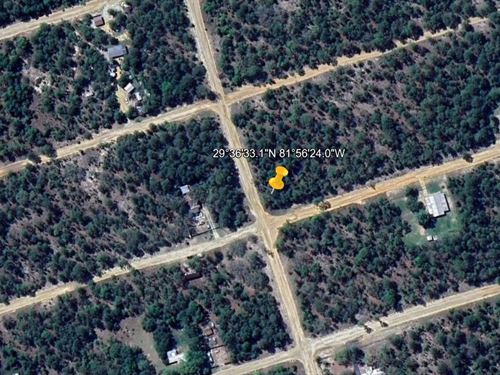 Rural Magic Awaits, $199 Down : Interlachen : Putnam County : Florida