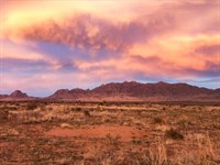 4.5 Acres with Dirt Runway Access : Deming : Luna County : New Mexico