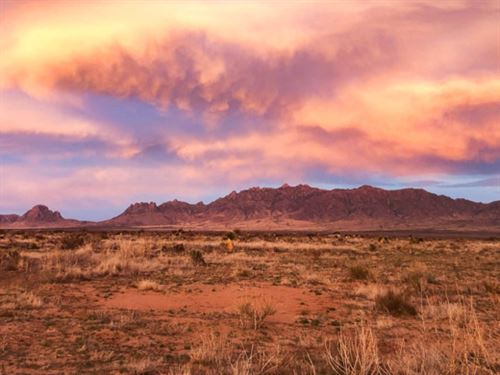 4.5 Acres with Dirt Runway Access : Deming : Luna County : New Mexico