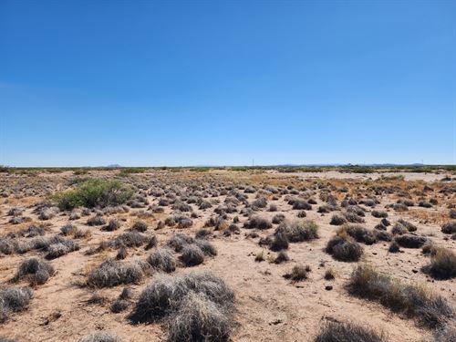 2 Acres, $160 Gets You In : Deming : Luna County : New Mexico