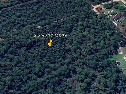 Land Lessons 1.08 Acres, $99 Down : Palatka : Putnam County : Florida