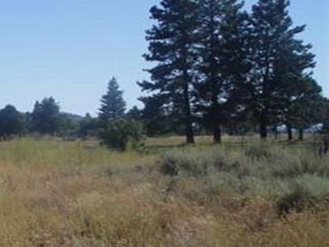 Block 13 Lot 9 - $3,950 : Sprague River : Klamath County : Oregon