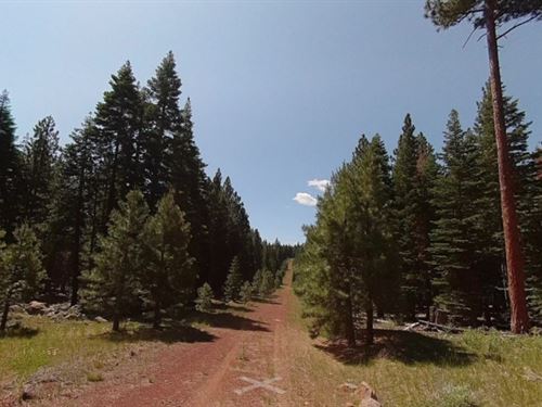 1 Acre Land Near California Pines : Vestil : Modoc County : California
