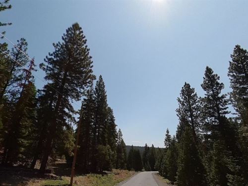 1 Acre Cheap Land in Alturas : Christensen : Modoc County : California