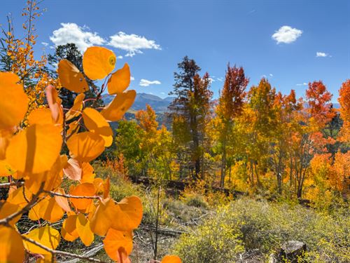 Huge Hunting Lot in Rocky Mountains : Fort Garland : Costilla County : Colorado