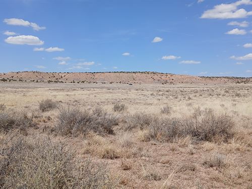 Build Your Dream Home in Desert : Sanders : Apache County : Arizona