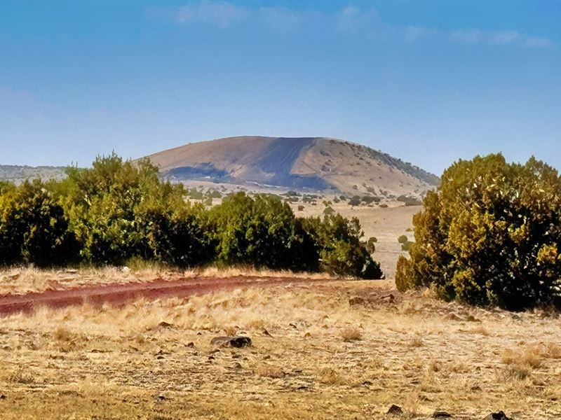 Own What They Can't Take : Concho : Apache County : Arizona