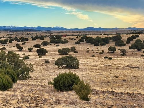 1.04 Acre with Sunset Views : Concho : Apache County : Arizona