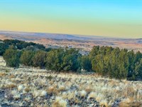 Walk to Concho Falls & Concho Lake : Concho : Apache County : Arizona