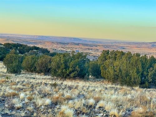 Walk to Concho Falls & Concho Lake : Concho : Apache County : Arizona