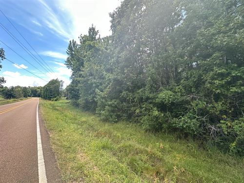 3 Acres In Jefferson County, MS : Union Church : Jefferson County : Mississippi