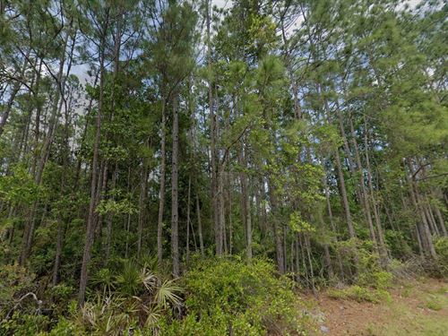 $99 Down Gets You Land in Florida : Palatka : Putnam County : Florida