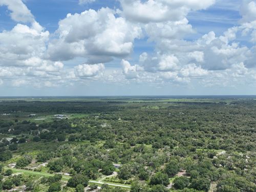 1.25 Acres in Okeechobee, FL : Okeechobee : Florida