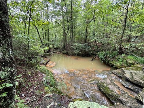 Chandler Mtn, 18 Acres, Gulf Creek : Steele : Saint Clair County : Alabama