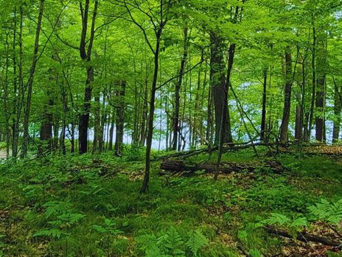 Golf, Lake, Year-Round RV $275/Mo : Garrison : Crow Wing County : Minnesota