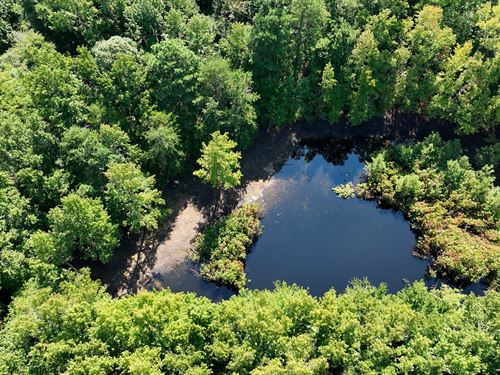 17 Acres, Pond, Wooded Home Site : Oneonta : Blount County : Alabama