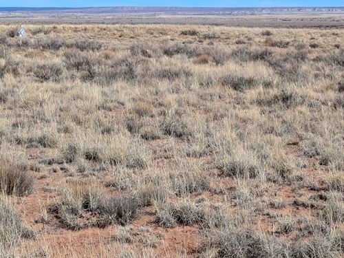 Invest & Build in Cheap Residential : Arizona City : Apache County : Arizona